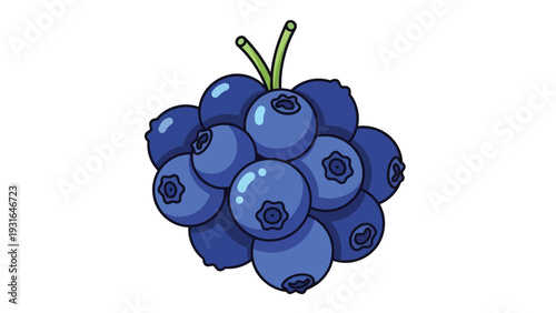 Illustration of a cluster of blueberries with green stems against a white background.
