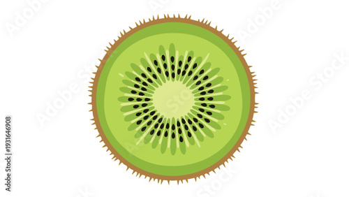 Illustration of a sliced kiwi fruit with fuzzy skin and green flesh on a white background.