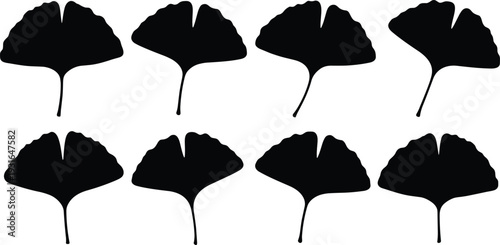 Silhouette collection of ginkgo leaves in varied shapes, eight botanical fan-like forms for design, illustration, nature study, herbal art, and commercial creative projects
