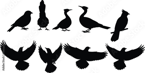 Bird Silhouette Set Vector Illustration, Collection of Perched and Flying Birds in Black and White Design