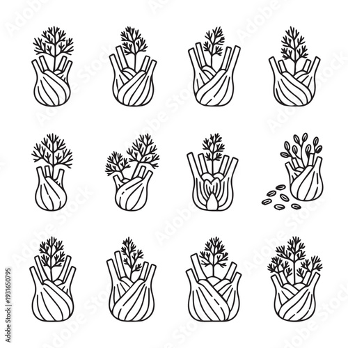 Fennel Bulb Icons Set Line Art Vegetable Illustrations Fresh Ingredient Graphics