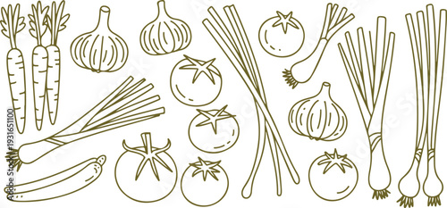 Minimal hand-drawn vector doodle collection of fresh vegetables, herbs, and greens in clean smooth line art style