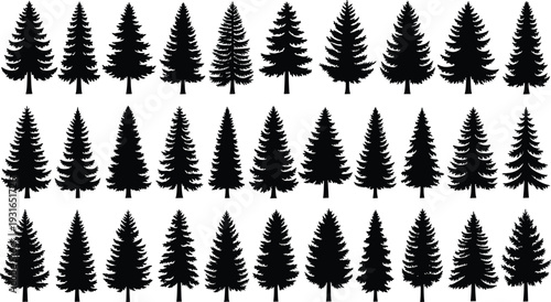 Collection of Evergreen Pine Tree Silhouettes Vector Illustration Set, Black and White Forest Conifer Trees Bundle Design