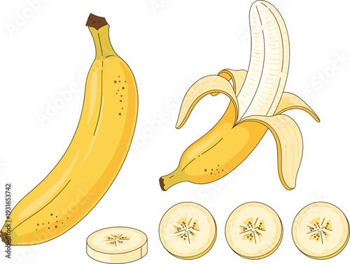 Fresh Yellow Banana Vector Set Featuring Whole Fruit, Peeled Banana, and Round Slices for Healthy Food Nutrition, Tropical Fruit Market, and Recipe Graphic Designs