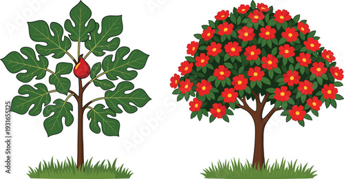 Beautiful contrast of fruit-bearing tree with single red pomegranate and lush flowering tree covered in vibrant blossoms on grassy landscape background illustration