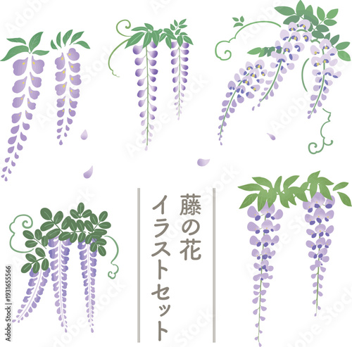 藤の花フラットベクターセット｜春から初夏の和風ボタニカル素材集