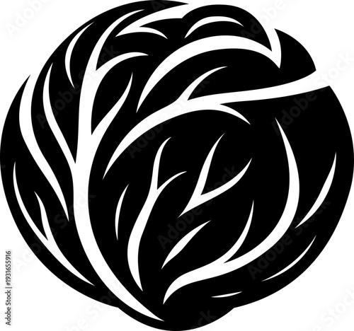 vector illustration of a cabbage silhouette