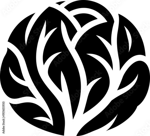 Vector illustration of cabbage