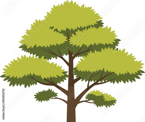 Stylized mature tree illustration with brown trunk, branching structure, and dense layered green foliage, perfect for botanical, educational, environmental, 
