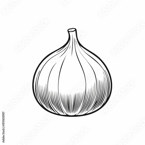 Detailed fig illustration showcasing intricate line work and minimalist style elegance