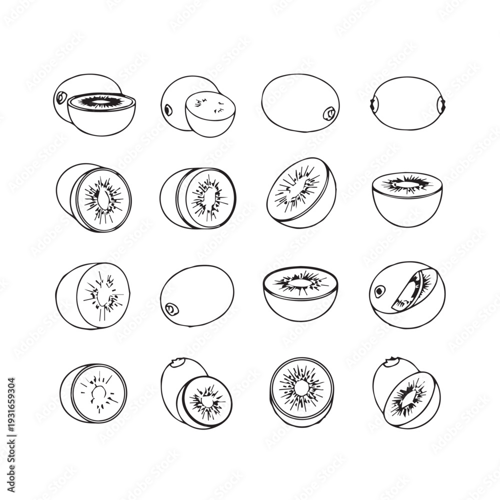 Fototapeta premium Kiwi Fruit Collection: Whole Halved and Sliced Views Black and White Line Art
