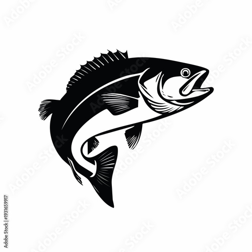 Elegant black and white fish vector illustration with smooth lines and detailings capturing