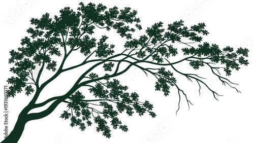Silhouette of a tree branch with leaves on a white background.