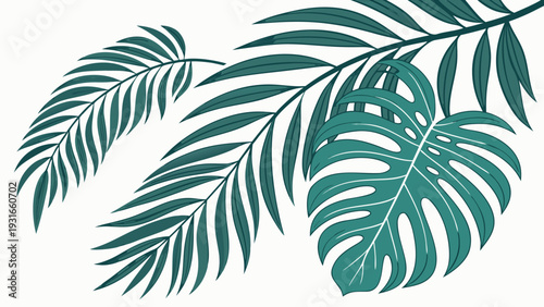 Tropical leaves on a white background.