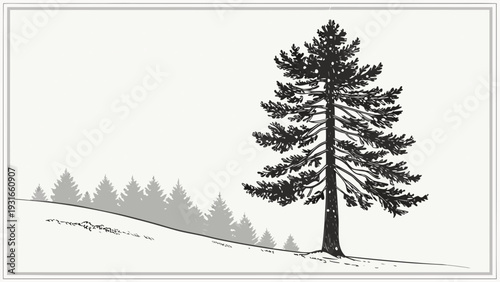 Detailed illustration of a single pine tree on a snowy hill with a forest in the background.