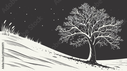 Winter night landscape with a bare tree on a snowy hill under a starry sky.