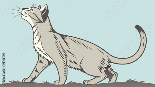 Graceful Feline Gazing Upward with Curious Expression.