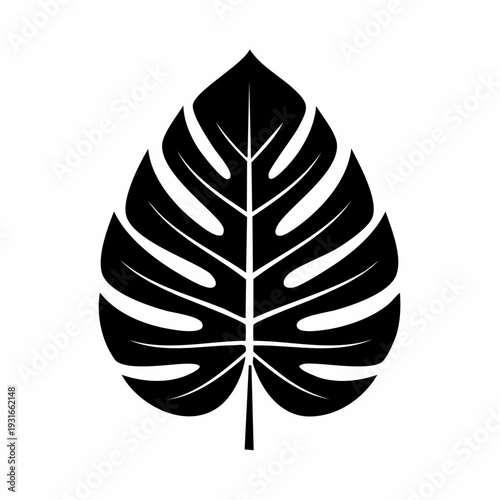 Elegant Black and White Monstera Leaf Vector Illustration for Graphic Design needs