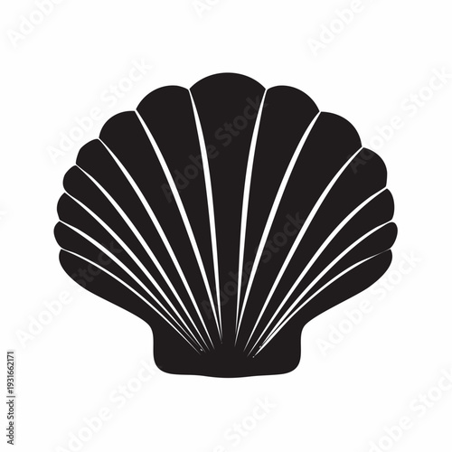 Elegant black and white seashell illustration for coastal and nautical themes art
