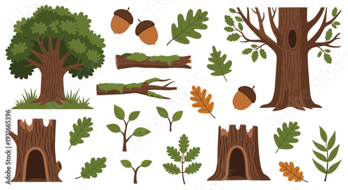 Collection of Oak Tree Elements Including Acorns Leaves Branches and Hollow Tree Stumps for Nature Themed Designs and Autumnal Decorations