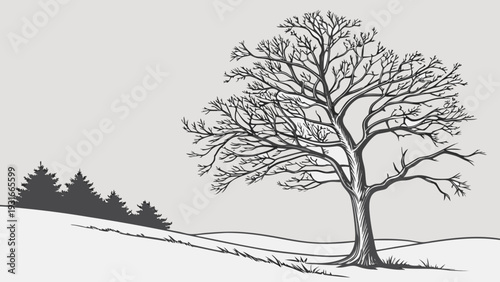 Bare tree in winter landscape with evergreen trees in background.
