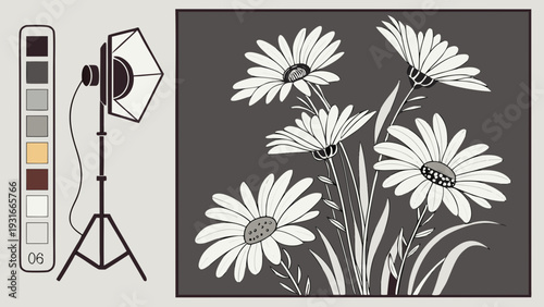 Daisy flowers with a softbox light and color palette.