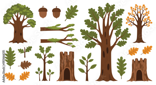 Collection of Oak Trees Acorns and Leaves Elements for Autumn and Forest Scenes