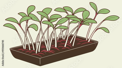 Minimalist illustration of young green plants growing from the earth.