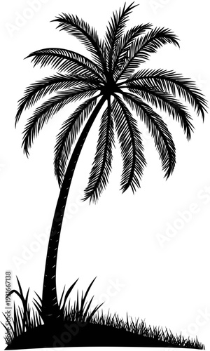 Lush green palm fronds swaying gently in a tropical breeze.