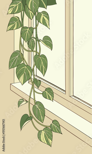 Lush Pothos Plant Trailing Down a Bright Window Sill.