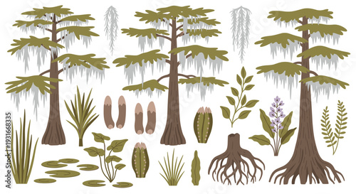 Swamp Ecosystem Elements With Cypress Trees Spanish Moss And Wetland Plants Detailed Botanical Illustration