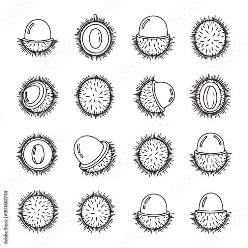 Rambutan Fruit Collection Vector Icons Set Whole and Halved Tropical Exotic Fruits Hand Drawn Style