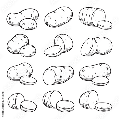 Potato Variety Illustrations Set Whole and Sliced Black and White Line Art