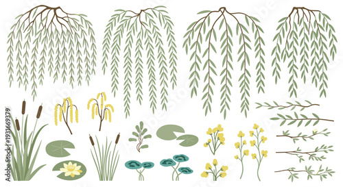 Delicate watercolor illustrations of weeping willow branches reeds water lilies and cattails in a serene natural setting
