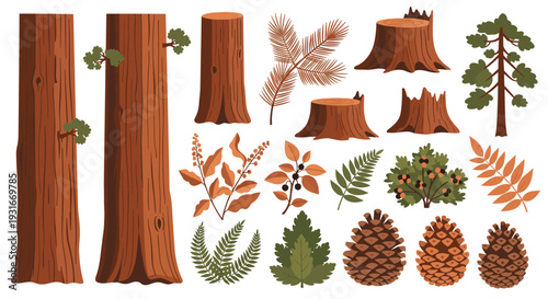 Collection of forest elements including tree trunks stumps pinecones ferns and autumn leaves for nature and seasonal design projects