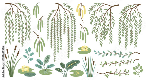 Delicate botanical illustrations of weeping willow branches cattails water lilies and aquatic plants in a serene natural setting