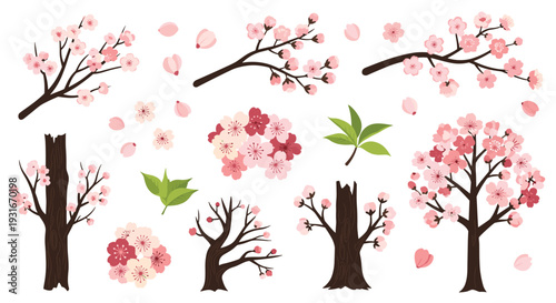 Beautiful Cherry Blossom Branches and Trees with Falling Petals Set for Spring Season