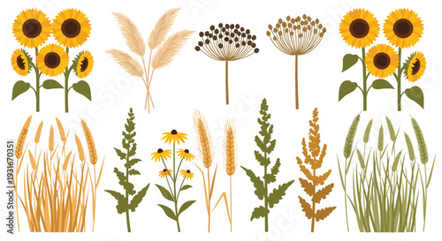 Autumn Harvest Collection Featuring Sunflowers Wheat And Pampas Grass In A Botanical Arrangement