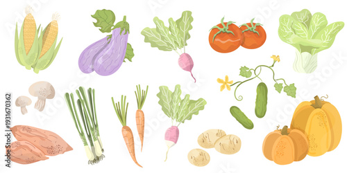 Organic Farm Vegetable Clipart Set Pumpkin Corn Tomato Cucumber and More