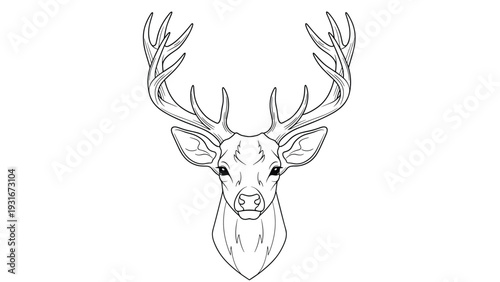 Detailed black and white line art illustration of a majestic deer head with large branching antlers facing the viewer.