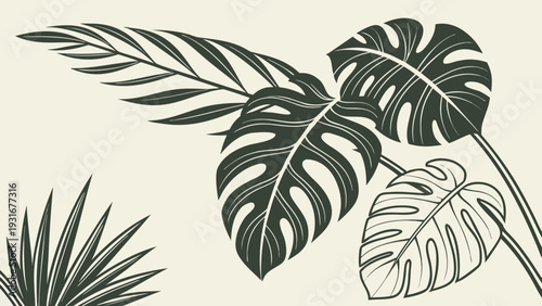 Tropical leaves illustration with monstera and palm leaves.