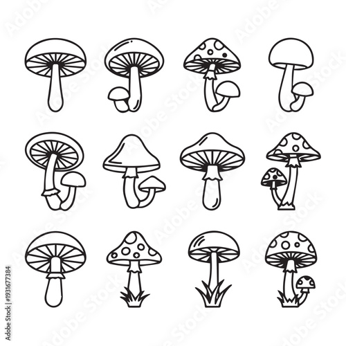 Various Hand Drawn Mushroom Icons Set Simple Outline Forest Fungi Collection Stock Vector