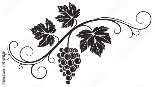 Grapevine Branch with Grapes and Swirling Ornate Elements