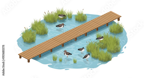 Isometric illustration of a wooden bridge over a wetland with birds and lush vegetation on World Wetlands Day, promoting conservation and ecology