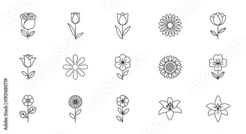 Floral Icons: A collection of meticulously crafted line art illustrations showcasing the delicate beauty and diversity of various flowers. Each design emphasizes simplicity and elegance