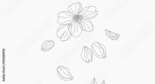 Blooming Cherry Blossom: Delicate cherry blossom petals dance gracefully, a celebration of spring's ephemeral beauty.