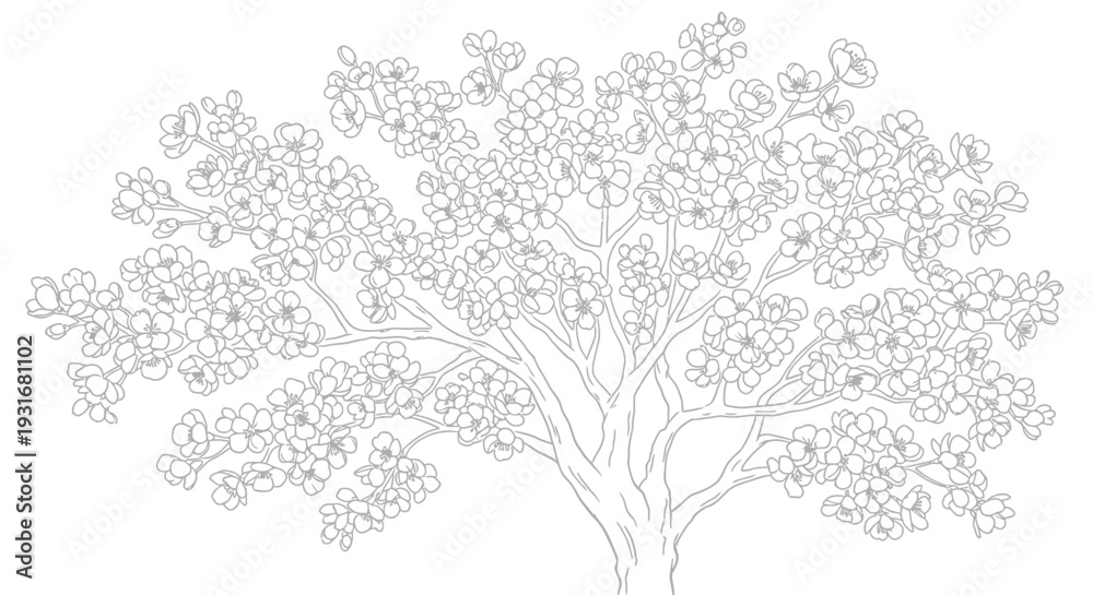Fototapeta premium Blooming tree illustration: Delicate line art captures the essence of a flowering tree in full bloom, revealing intricate details of branches and blossoms.