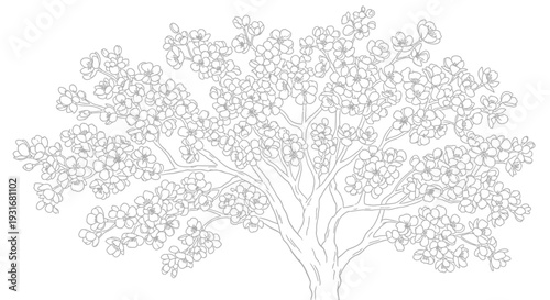 Blooming tree illustration: Delicate line art captures the essence of a flowering tree in full bloom, revealing intricate details of branches and blossoms.