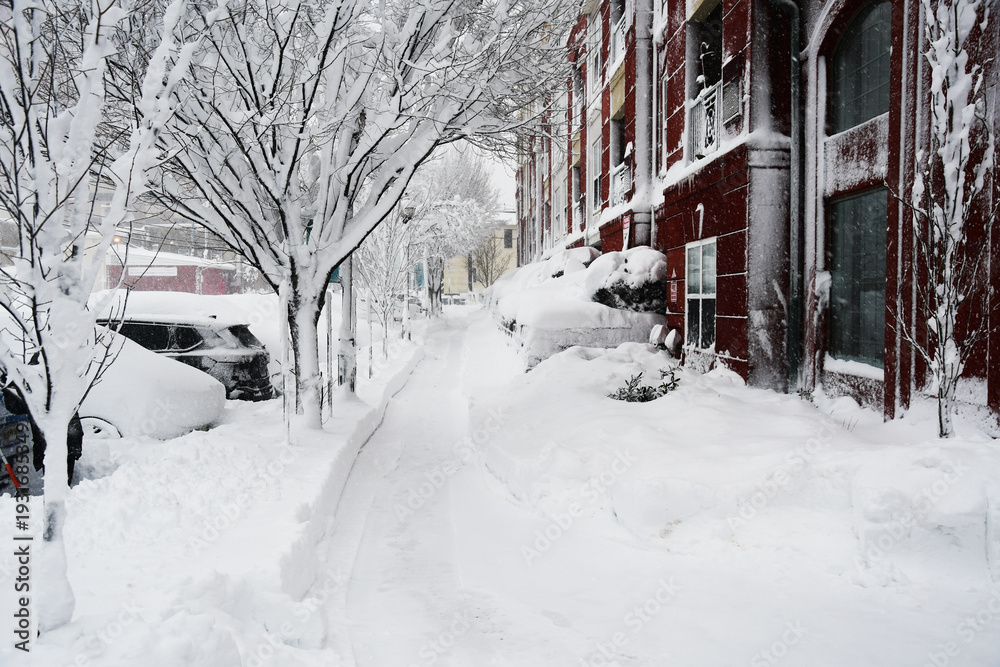 Fototapeta premium snow covered house