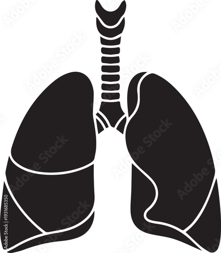 Human lungs silhouette icon. Black and white respiratory system anatomy isolated. Healthcare hospital clinic diagnostic and pulmonary disease design element